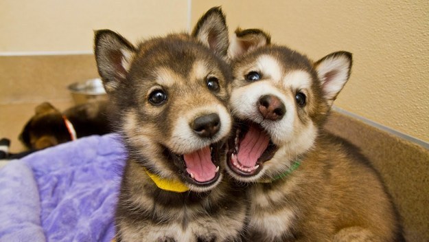 And other times, it's like, "Oh my gosh, let's take a selfie!!"