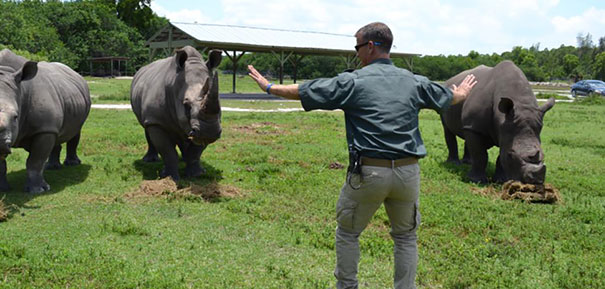 Hilarious Zookeepers Recreate Jurassic World Scene With Non-dinosaurs