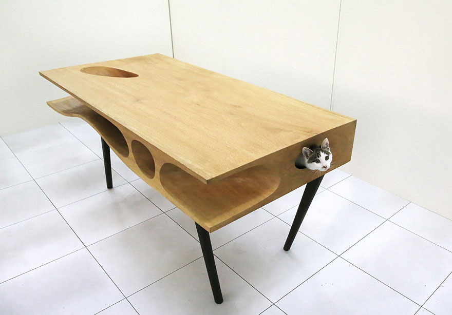 cool-cat-furniture-table-holes