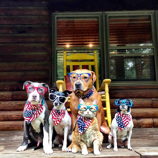 Instagram media by 88kncorbett - Hoping everyone had a safe and fun Labor Day! 🐾💙🌼