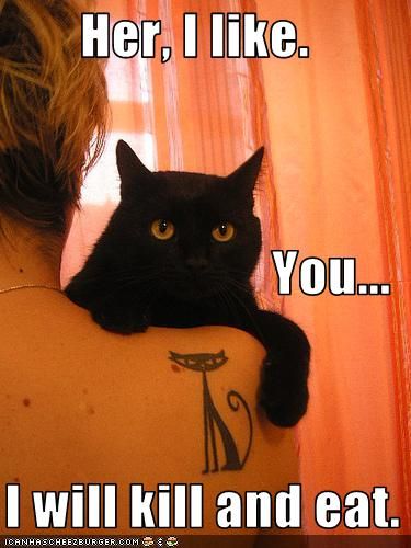 Haha cats always have their one favorite person... I know my cat has thought this more than once!