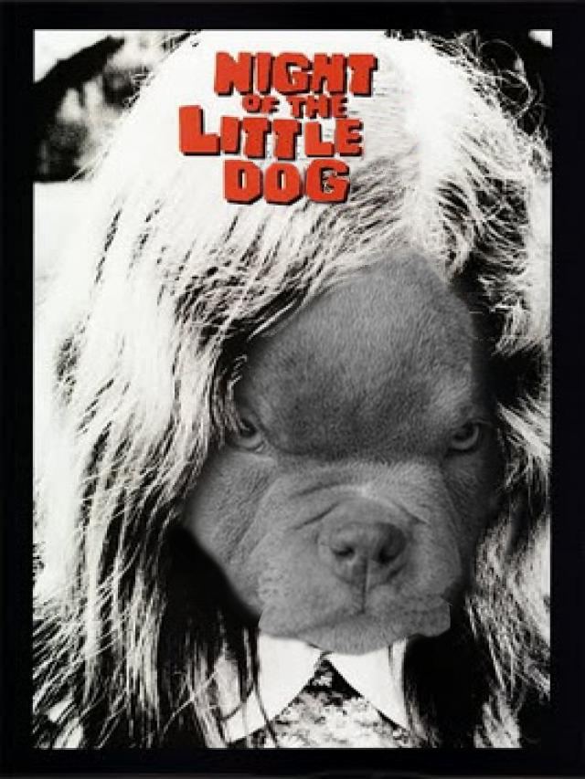 Night of the Little Dog