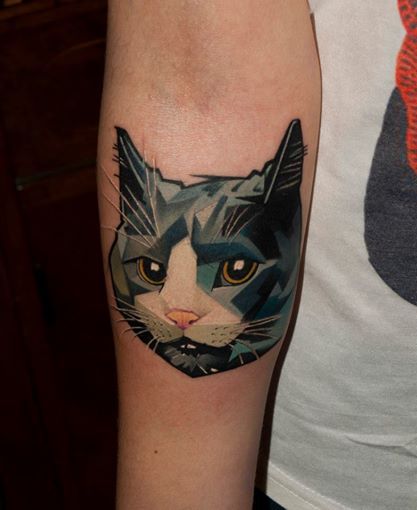 cat by Matyas Halasz <a href=