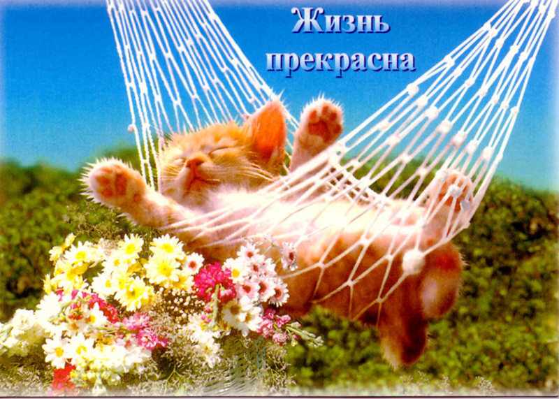 Жизнь продолжается открытка, тему москва