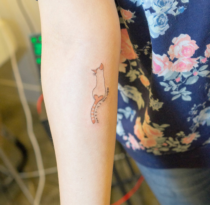 cat-tattoo-illegal-outlaw-tattoo-artists-south-korea-3