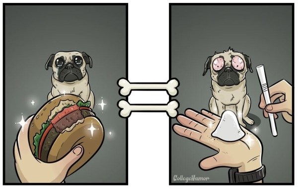 dogvisionburger