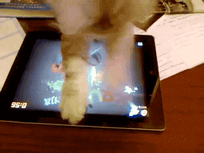 15 Key Parts Of Your Workday, As Told By Cats