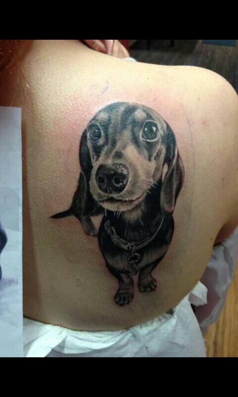 dachshund portrait tattoo...you must love your pet....  MORE at MindyPollack.com OR ILoveTattos.com