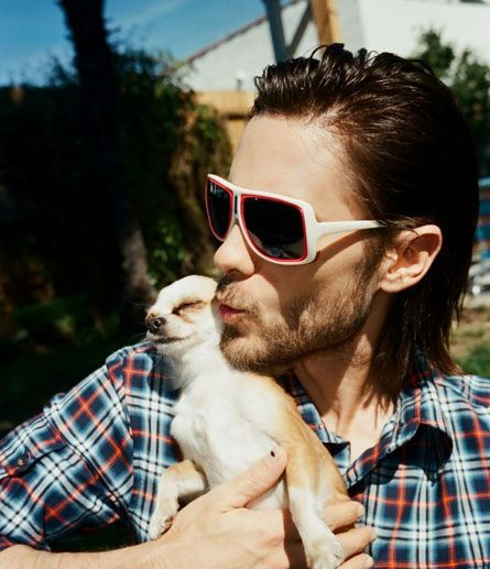 jared leto kiss chihuahua