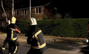 28 Animal GIFs Guaranteed To Make Your Worries Disappear