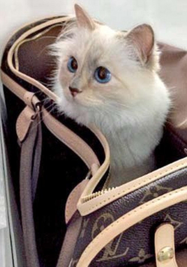 I travel in style and I refuse to go anywhere unless it's in this £1,660 Louis Vuitton pet carrier