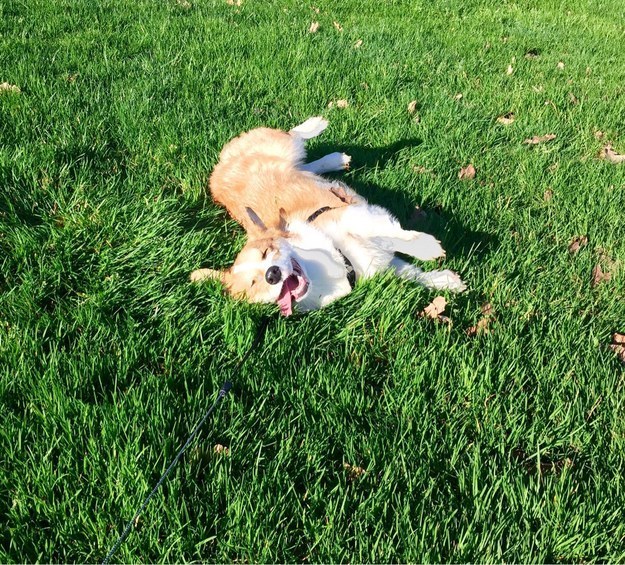 THIS GUY WHO IS JUST LOVING LIFE THE MOST.