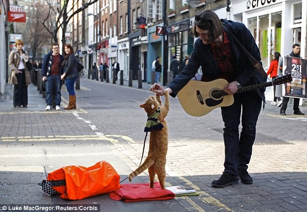 Some cats respond more to human music than others like the cat named Bob above that would entertain passersby with accompanyment from street musician James Bowen in London's Covent Garden