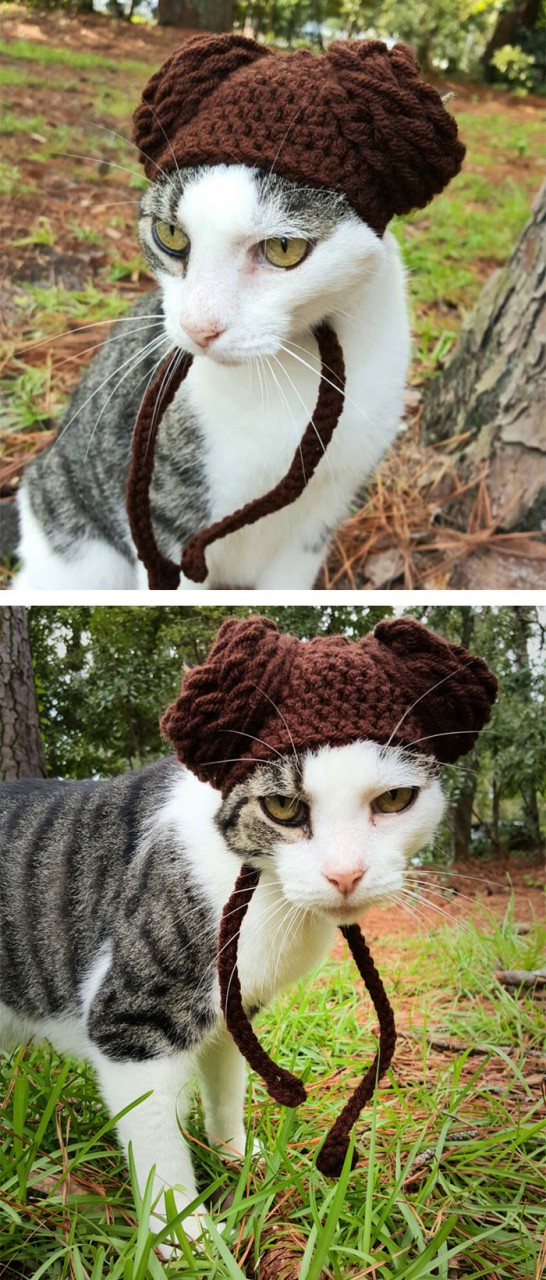 Princess Leia Hat