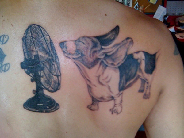A Dog and His Fan