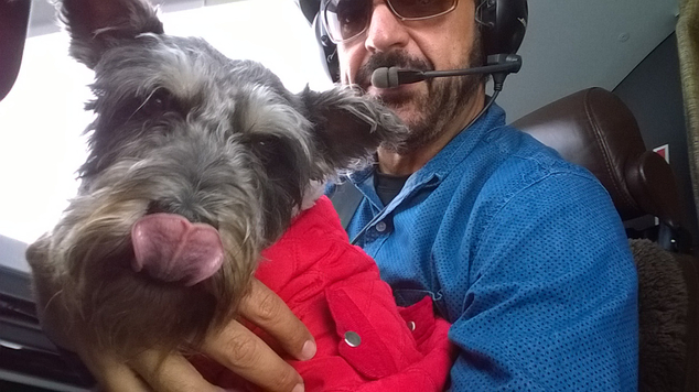 In safe hands: In this December 2014 photo provided courtesy of ShelterMe, pilot Jim Nista delivers Finn, a rescued dog, in Everett, Washington 