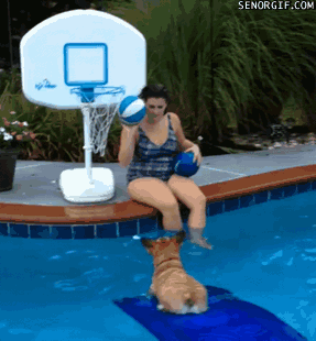 28 Animal GIFs Guaranteed To Make Your Worries Disappear