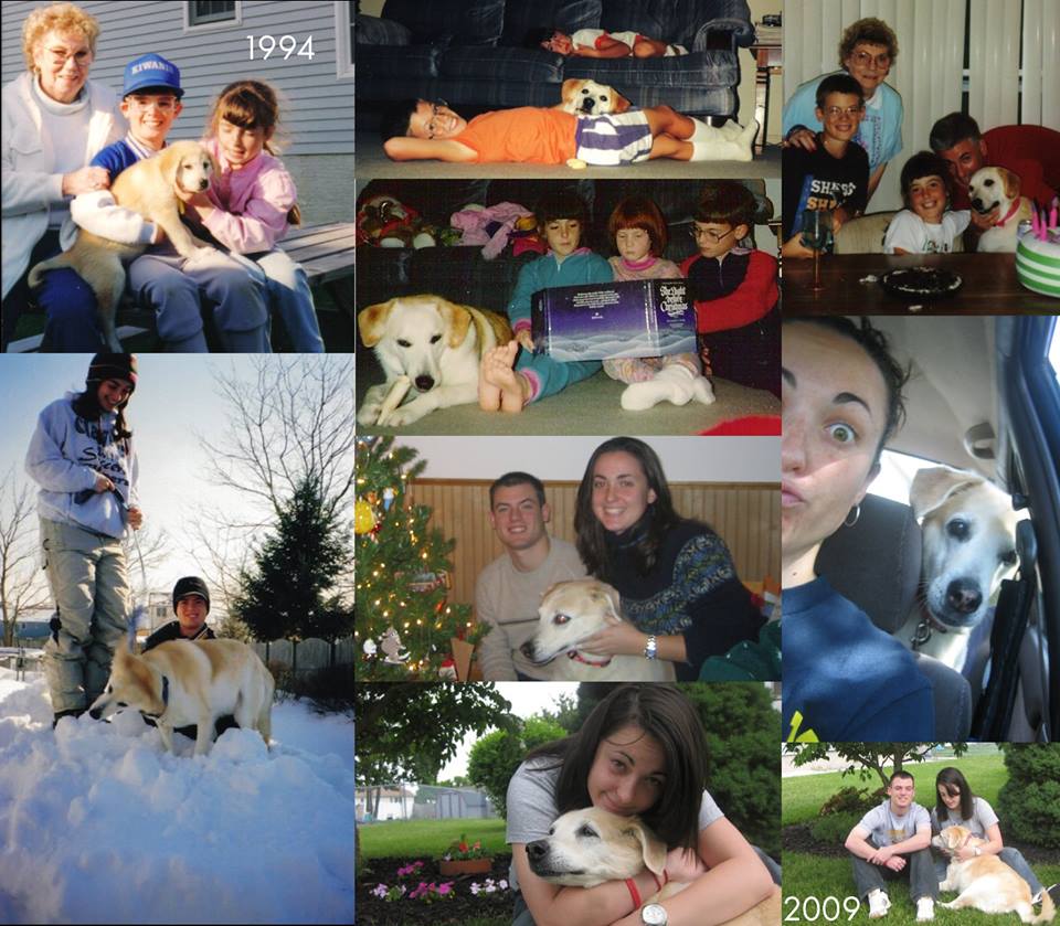 lab and kids
