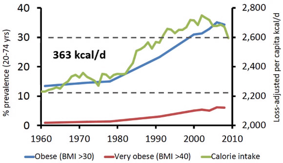 Obesity and Calorie Consumption