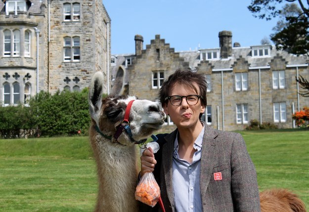 What is certain is that Freddie is a very friendly llama-dude.