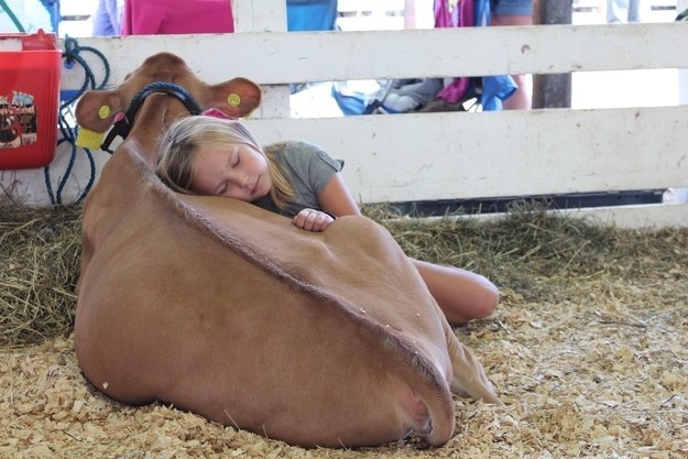 A girl and her best friend cuddling up.