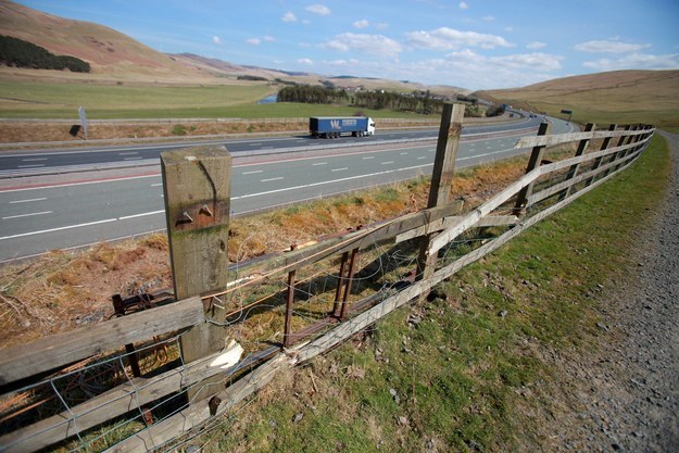 His joyride took him through a fence (sick!) and onto the highway (whoa!) before hitting a median and causing an unexpected paws in traffic on the M74.