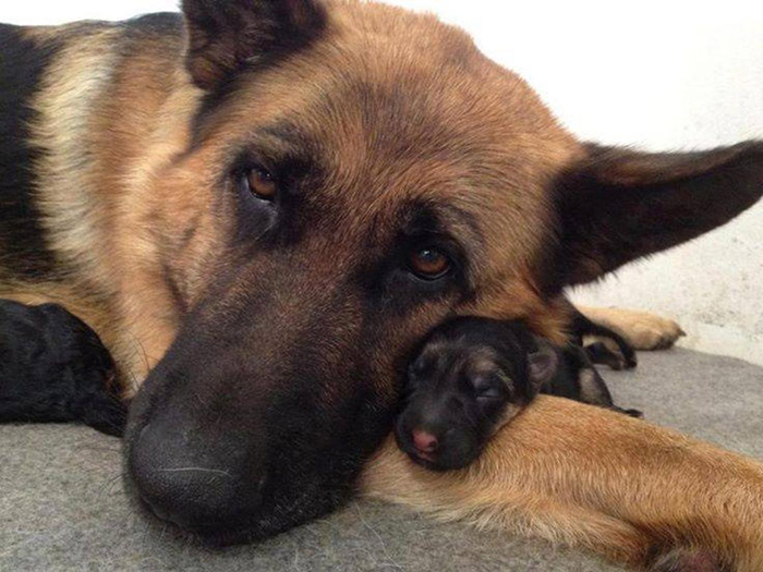 Mother With Her Baby