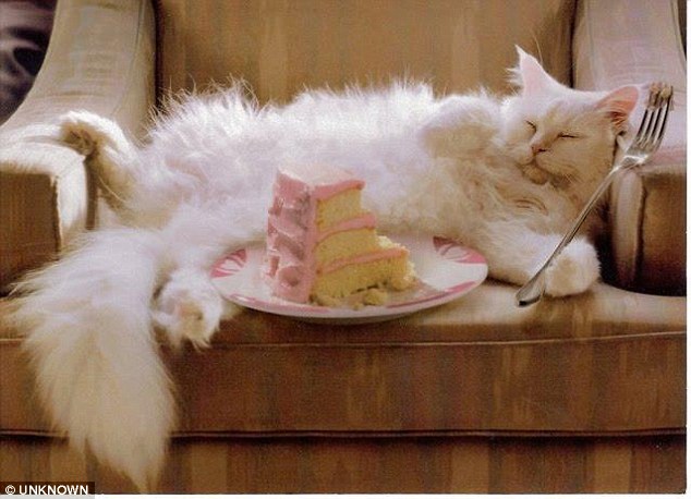 Let me eat cake - as that other famous French glamour puss, Marie Antoinette, almost said