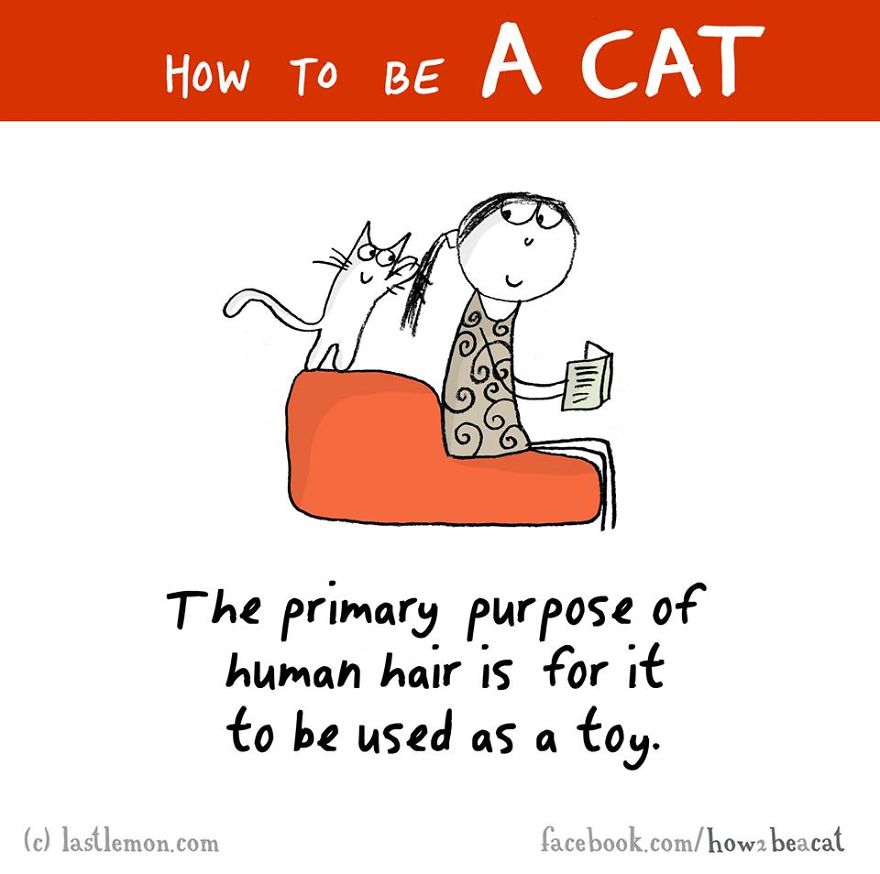 How To Be A Cat