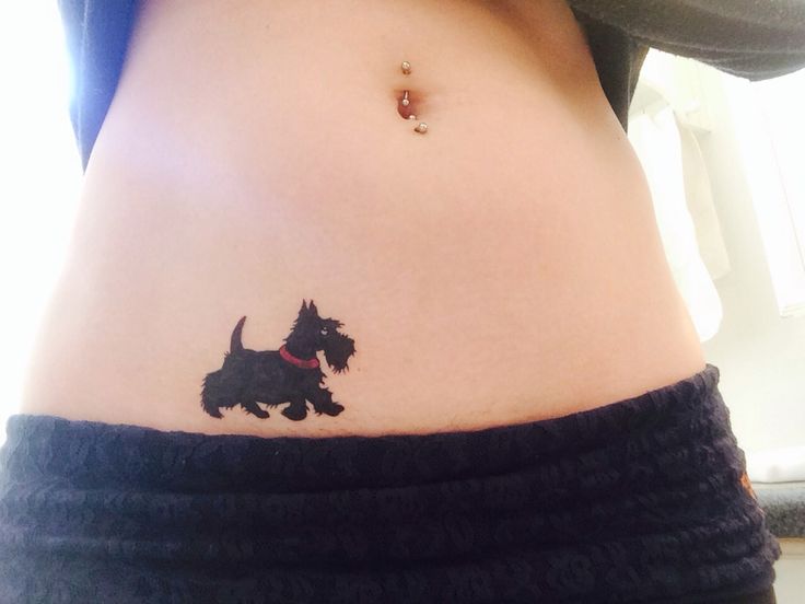 Ultimate Scottie Collectable, Scottie dog tattoo, pet tattoo. @Gaytha Thompson