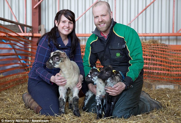 Chris Elkington and his wife Louise, who have 130 breeding Ewes on their farm, believe Hagrid is the largest lamb ever born in the UK