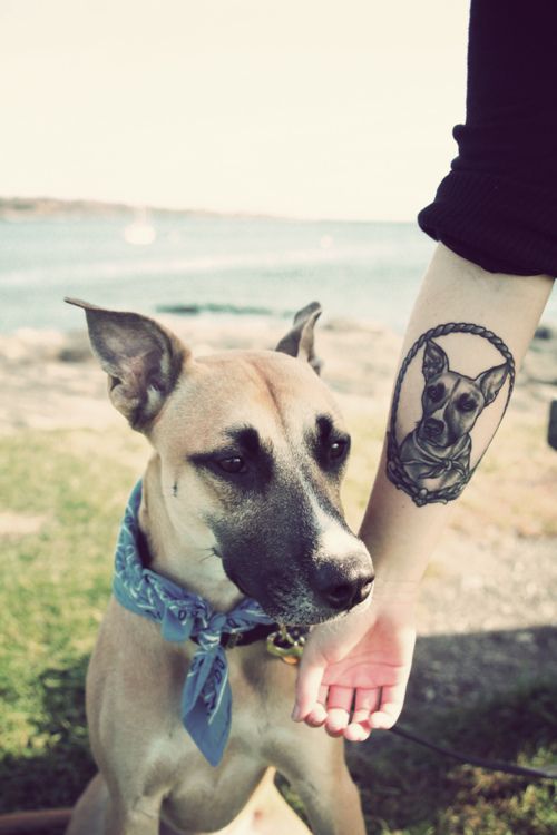 En EE.UU es habitual ver este tipo de tatuajes, algunos lo hacen porque su mascota amada a muerto y deseean llevarlo con él toda la vida y otros lo hacen por tenerlos en vida, cualquiera de las dos, representan un amor a la mascota por medio de un tatuaje