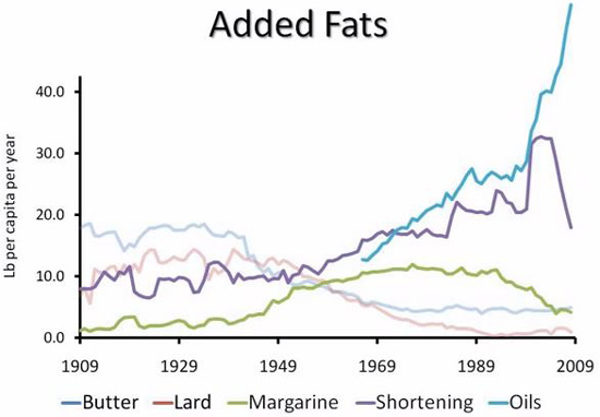 Fat Consumption in USA
