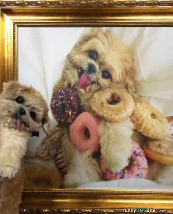 Donut Painting