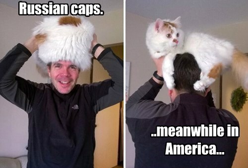 russia,america,Cats,hat
