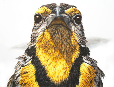 Photo-Realistic Ink Paintings of Animals by George Boorujy Seen On www.coolpicturegallery.us