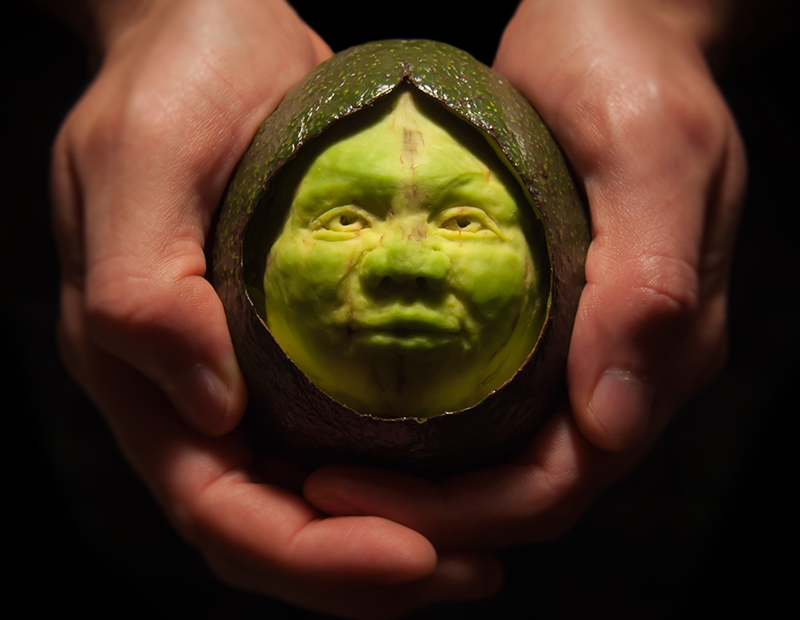 Avocadess_avocado