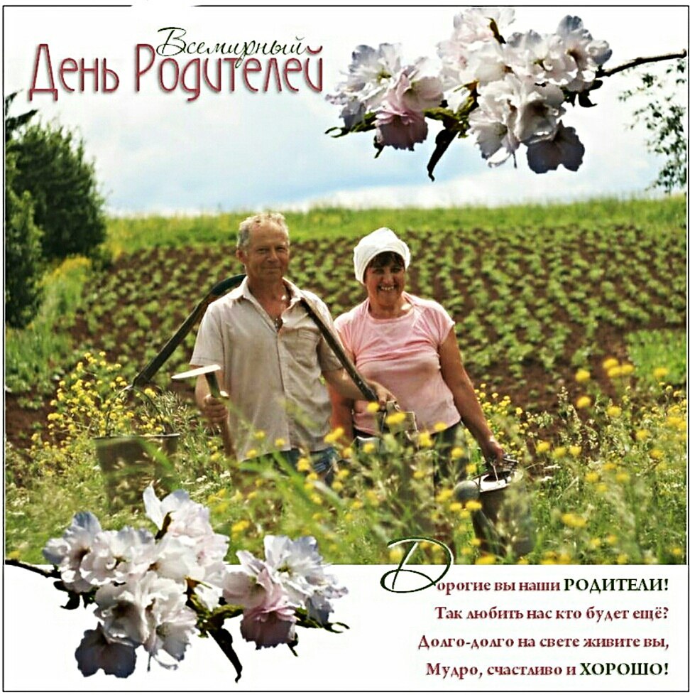 Картинки с днем родителей
