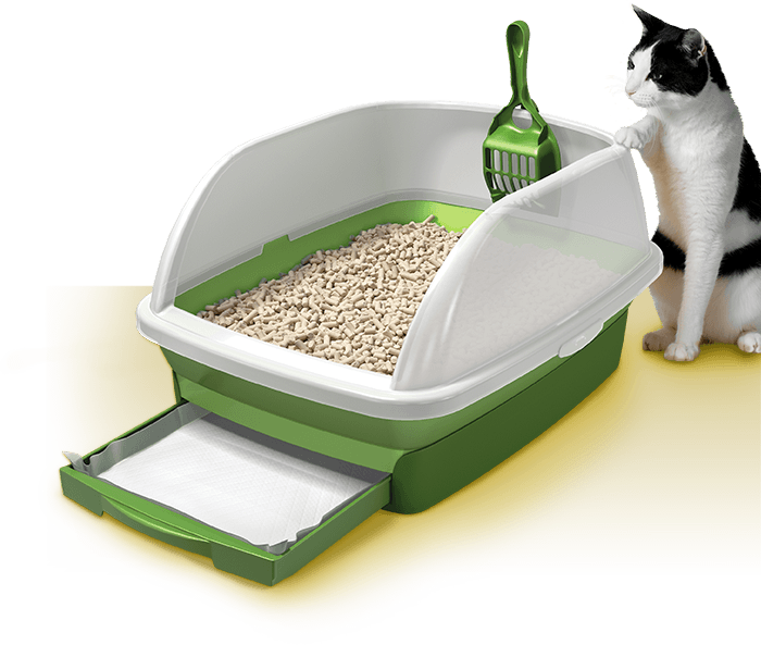 cat's Litter Box