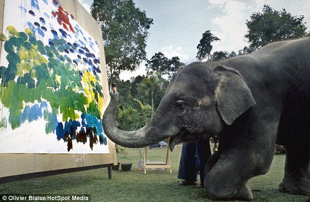 Artist at work: An Asian elephant puts his trunk into it as he works on a huge canvas