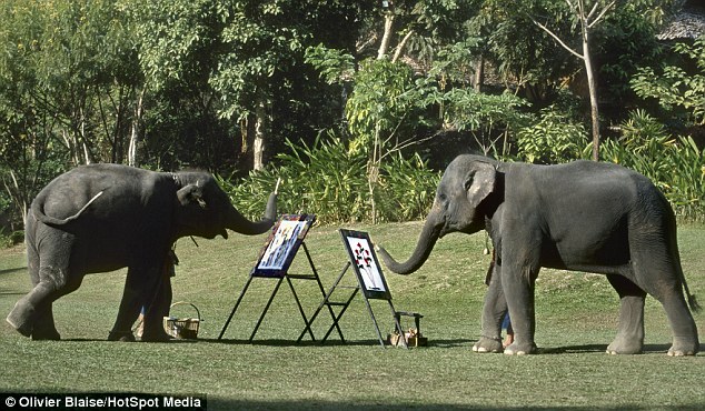 Earning their keep: The sanctuary sells the paintings, which gives them extra revenue to care for the elephants