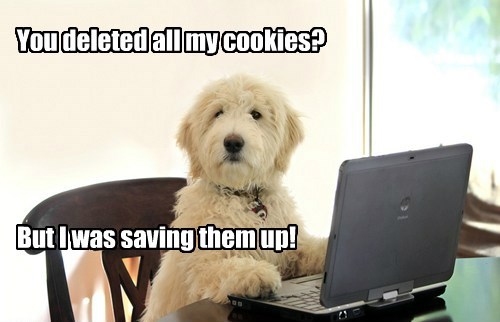 dogs,why,i have no idea what im doing,cookies