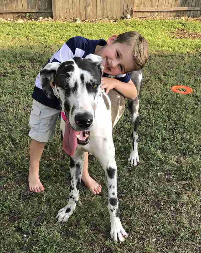 Lucy the Great Dane and Travis