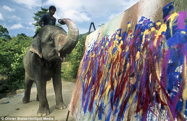 Art teacher: The elephants are guided in their work by trainers, who can direct their trunks by rubbing their ears