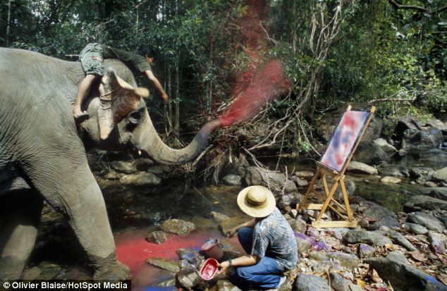 Art attack: This elephant, with the help of his minder, takes aim at a canvas at Maesa Elephant Camp in Thailand