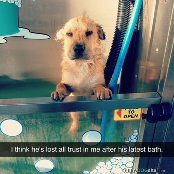 Lost All Trust