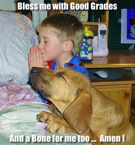 Dog joining  the prayer.