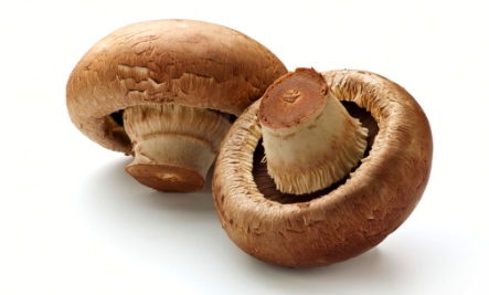 Foods for Immune Health: Mushrooms