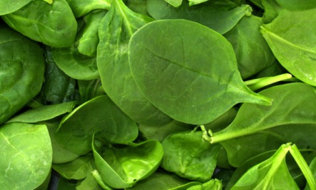 Foods for Immune Health: Spinach