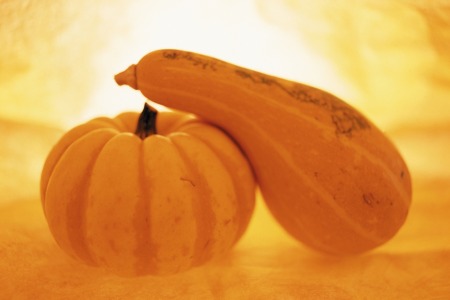 Foods for Immune Health: Pumpkin